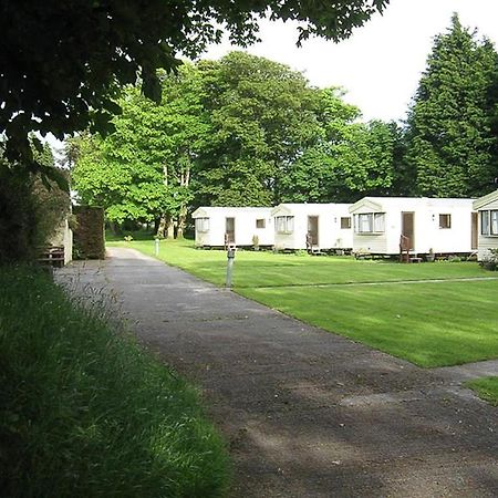 Cosy Caravan At Blackmoor Farm Ludchurch Esterno foto
